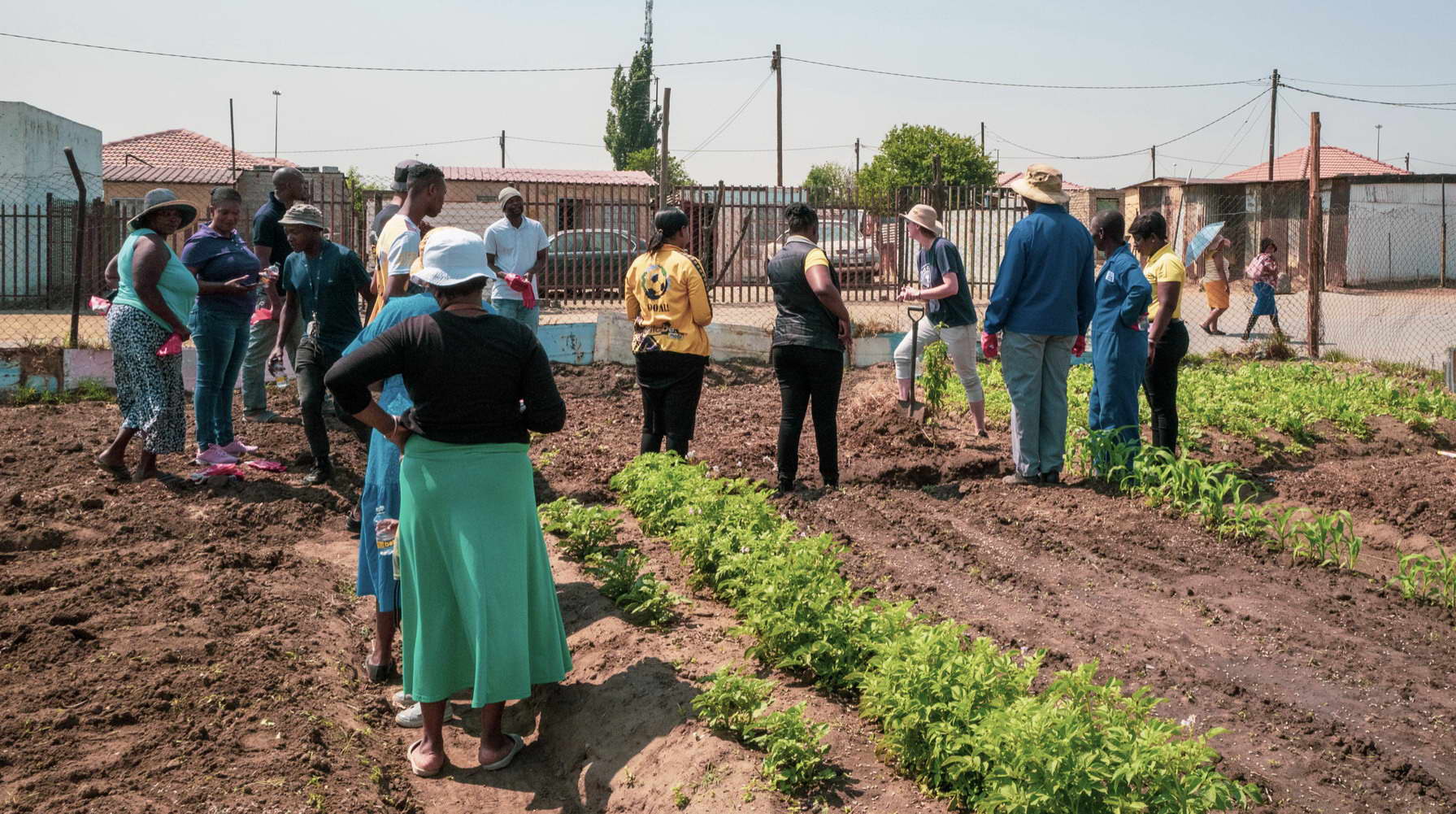 Photo 2023-02-02, 14 39 16